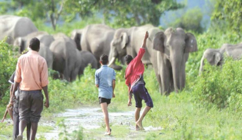 Living on the Edge: Understanding Human-Wildlife Conflict in Nepal